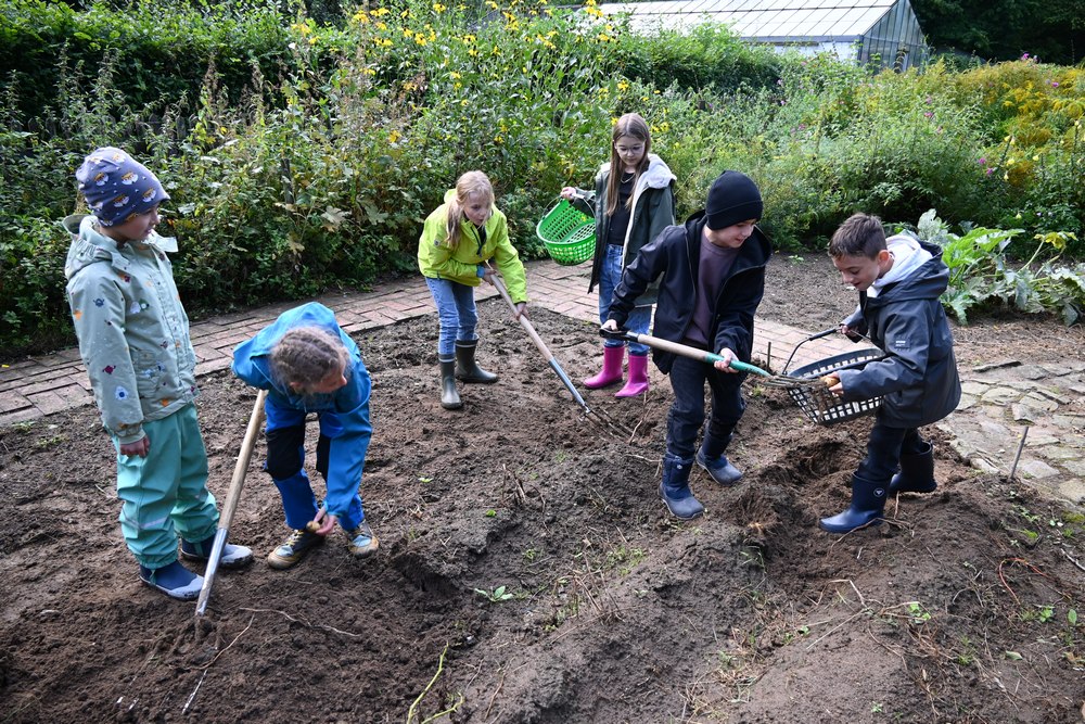 Garten 1