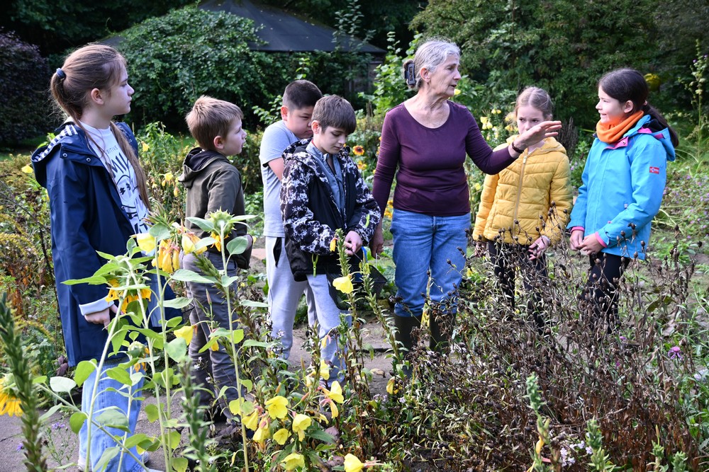 Garten 3