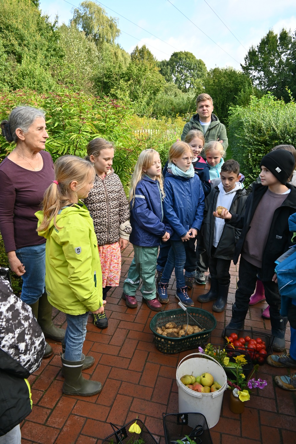 Garten 5