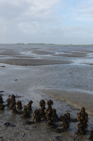 Klassenfahrt Langeoog