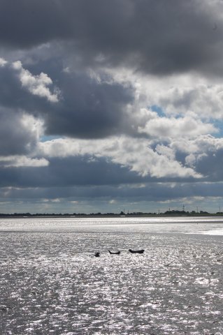 Klassenfahrt Langeoog